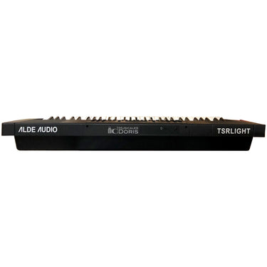Teclado Alde Audio Tsrlight 61 Teclas Con Luz 300 Tonos Y Ritmos